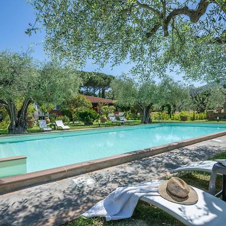 Agriturismo Buen Camino Scarlino Dış mekan fotoğraf