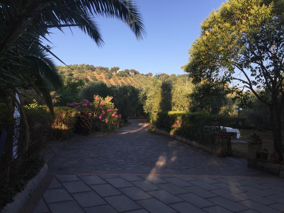 Agriturismo Buen Camino Scarlino Dış mekan fotoğraf