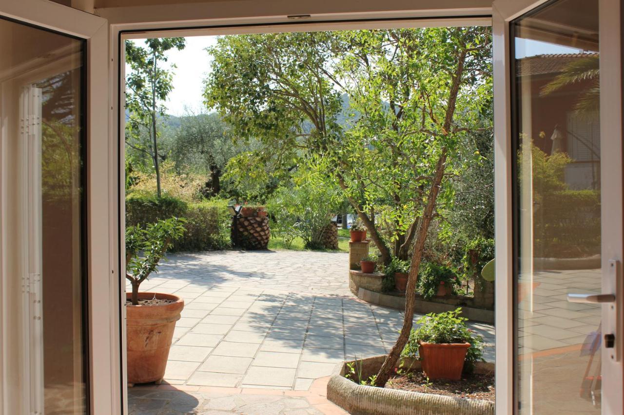 Agriturismo Buen Camino Scarlino Dış mekan fotoğraf
