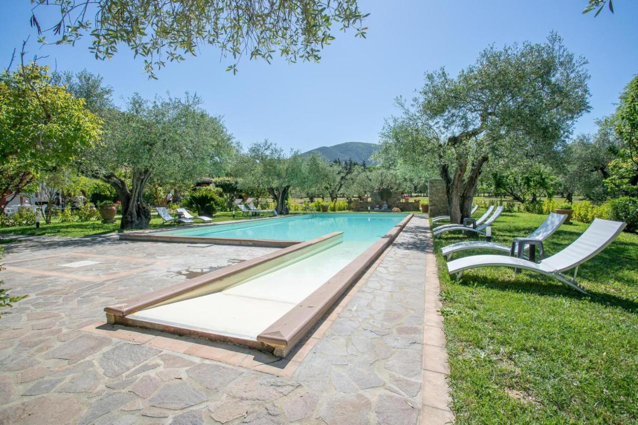 Agriturismo Buen Camino Scarlino Dış mekan fotoğraf