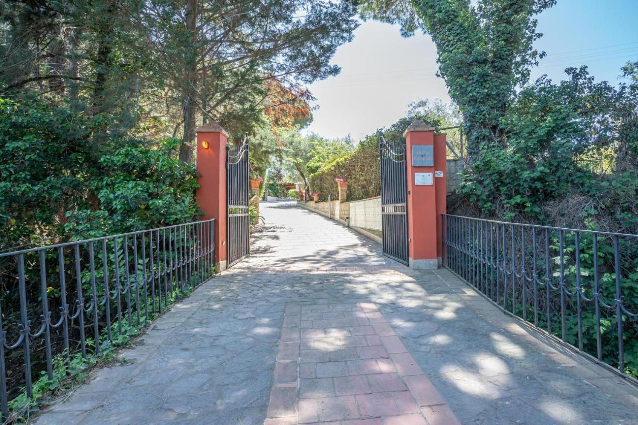 Agriturismo Buen Camino Scarlino Dış mekan fotoğraf
