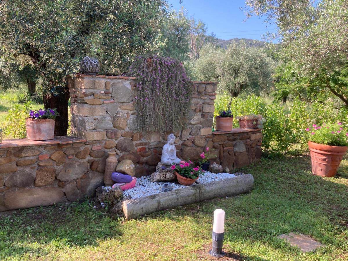 Agriturismo Buen Camino Scarlino Dış mekan fotoğraf