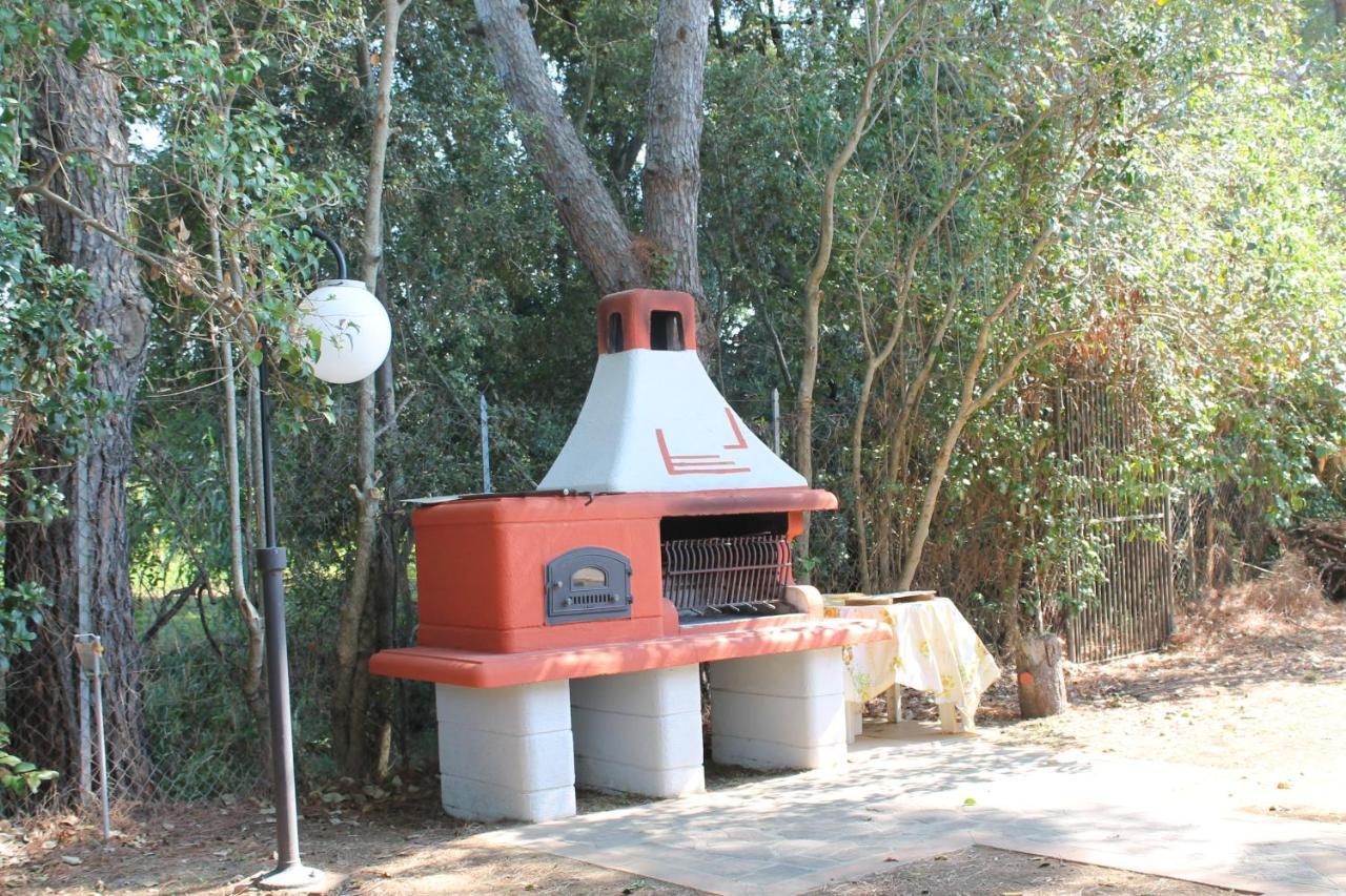 Agriturismo Buen Camino Scarlino Dış mekan fotoğraf