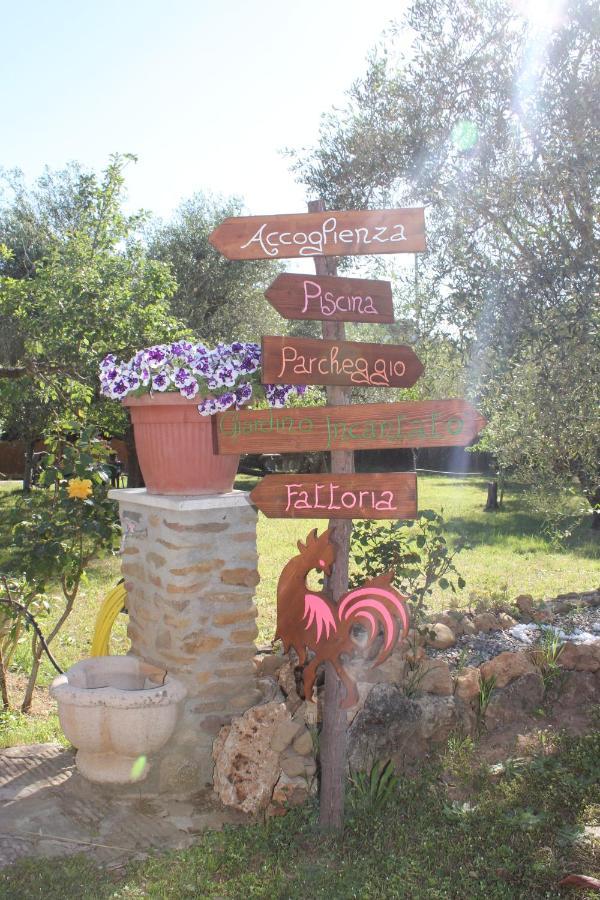 Agriturismo Buen Camino Scarlino Dış mekan fotoğraf